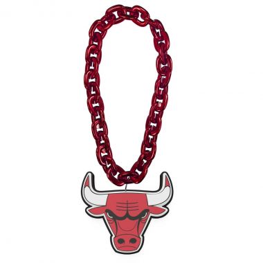 Chicago Bulls