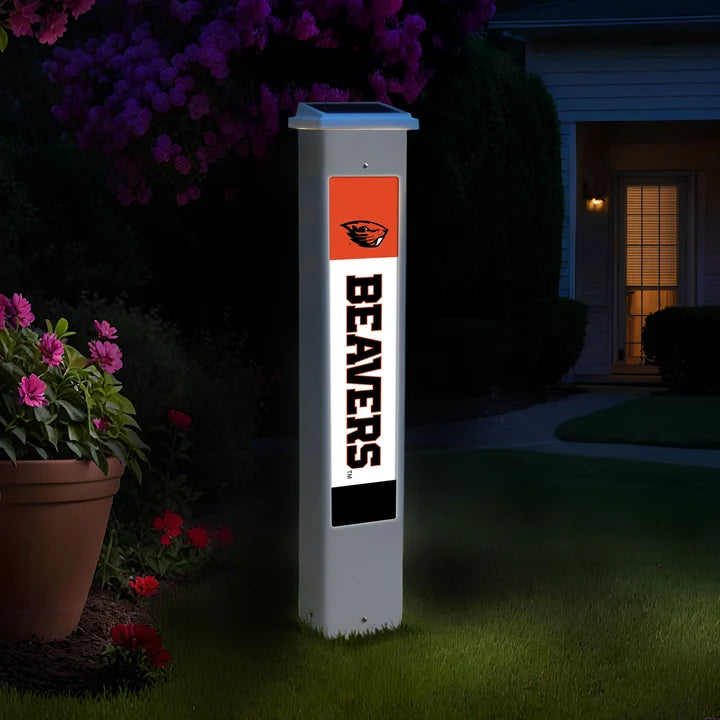 Chicago Bears