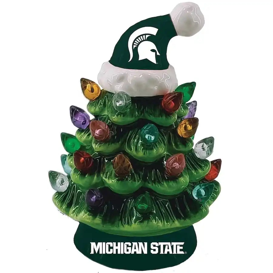 Michigan State University