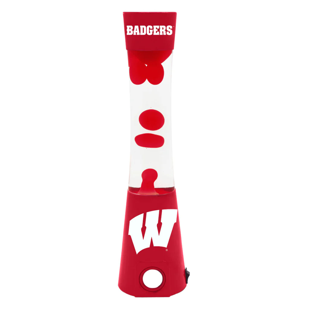 Wisconsin Badgers