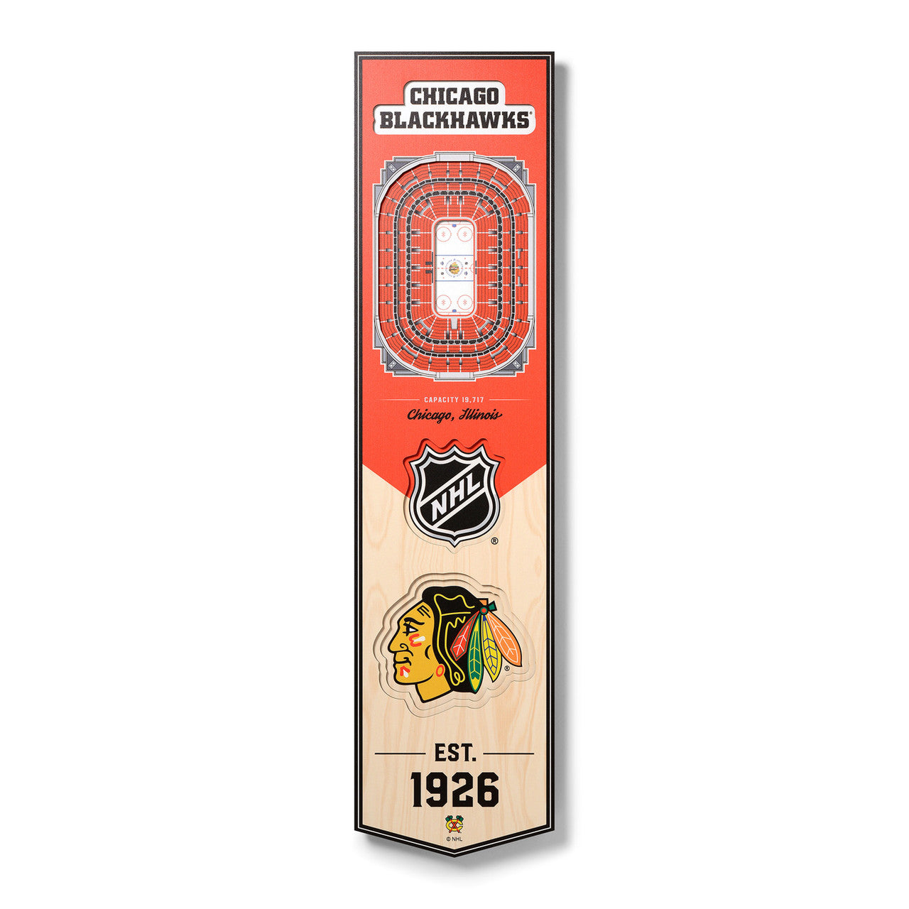 Chicago Blackhawks 3D Wall Art Small