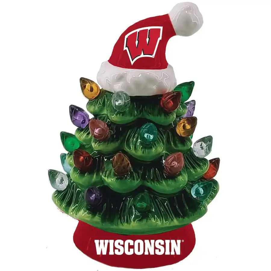 University of Wisconsin